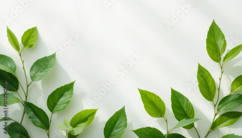 Fresh green leaves arranged artistically on white background for nature-inspired design