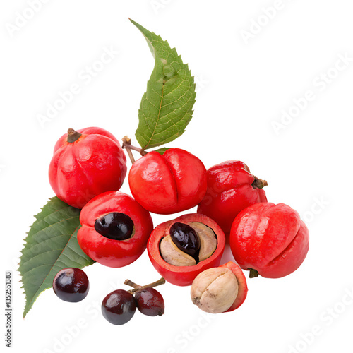Fresh guarana fruits seeds and leaves isolated on white background
