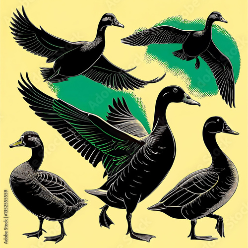 Duck silhouette collection