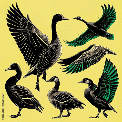 Duck silhouette collection