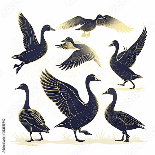 Duck silhouette collection