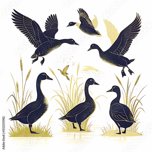 Duck silhouette collection