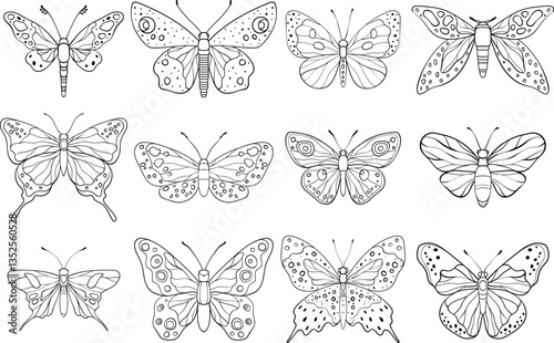 A vector illustration of line art butterflies with intricate wing patterns, showcasing a variety of artistic and natural designs