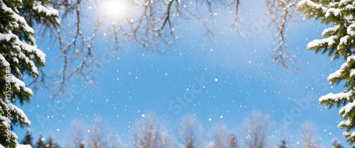 snowfall in winter forest w...