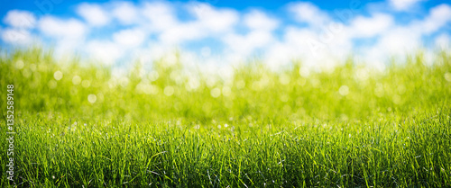 a lush green field of grass with a blurred background of blue sky and white clouds, suggesting a serene outdoor scene