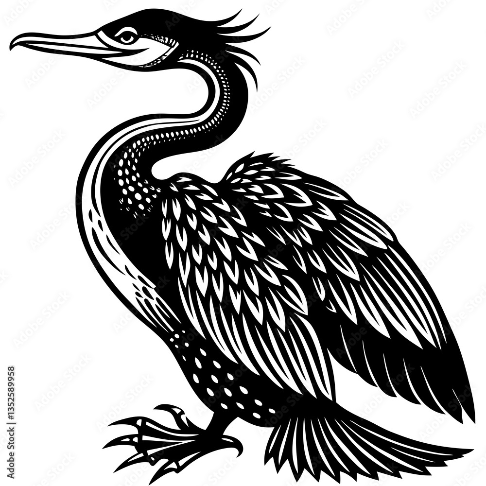 Fototapeta premium Cormorant: A majestic cormorant, exquisitely rendered, stands in profile against a bright, inviting backdrop, showcasing the beauty of nature's artwork.