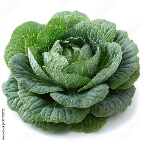 Wallpaper Mural Vibrant Green Cabbage: A Fresh and Healthy Vegetable Torontodigital.ca