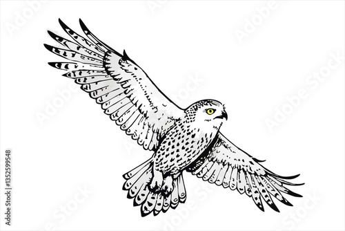 illustration Snowy owl in flight isolated on white background