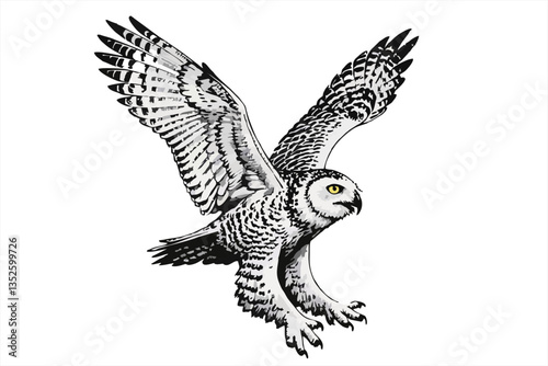 illustration Snowy owl in flight isolated on white background
