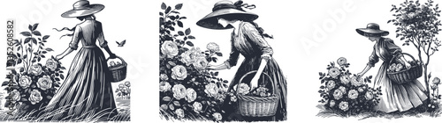 woman with a basket with a hat  in a flowing dress tending to blooming roses