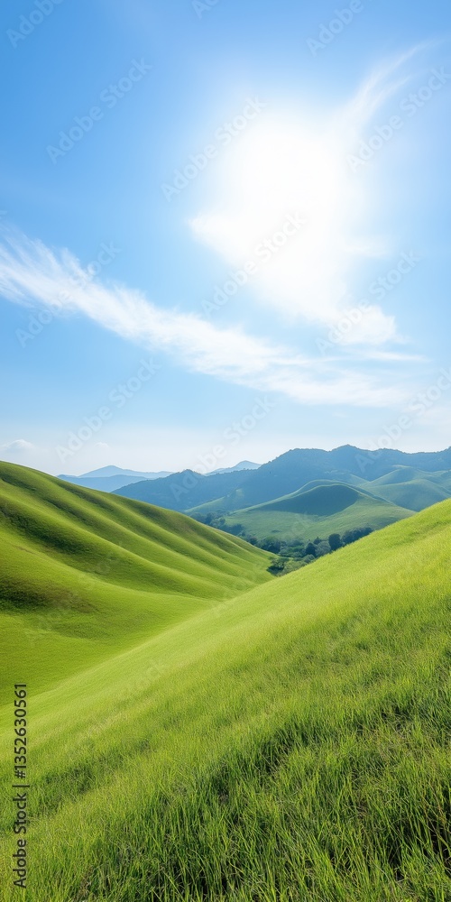 Fototapeta premium A beautiful landscape with a bright blue sky and mountains in the background. The sun is shining brightly, creating a warm and inviting atmosphere. The grass is lush and green
