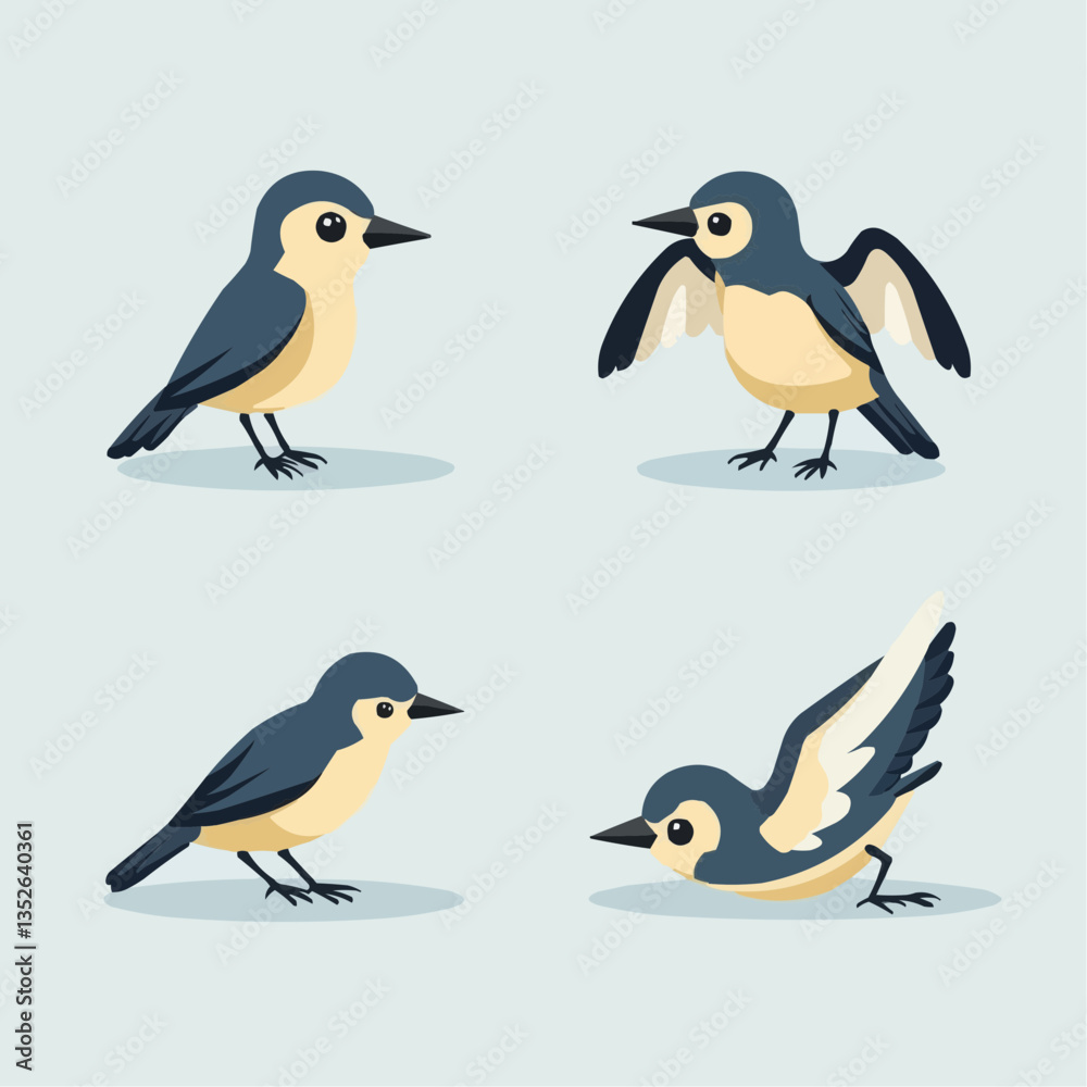 Fototapeta premium Vögel-Illustration: Vier verschiedene Posen