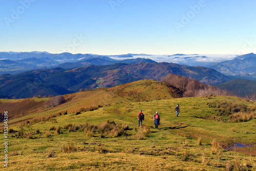 Three hikers walking throug...