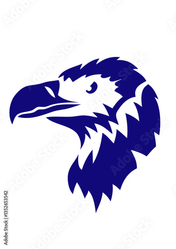vautour etoile oiseaux dessin