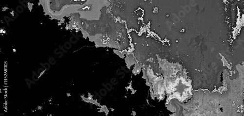 Abstract satellite image rendered in a flat, black and white halftone stipple effect, print, modern
