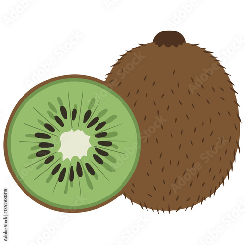 Kiwi Slice and Whole Fruit Vector