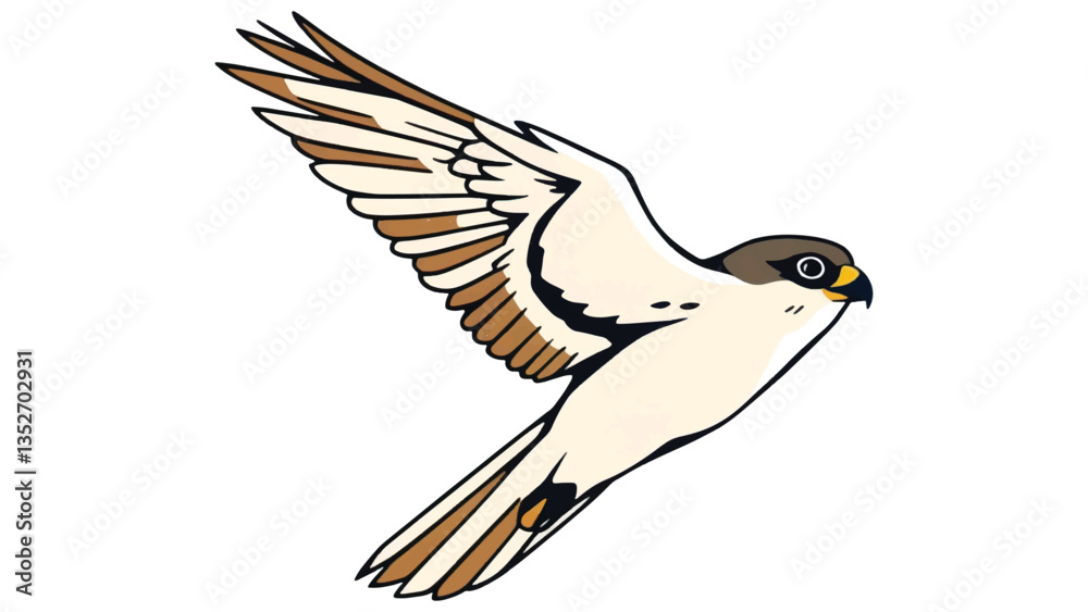 Fototapeta premium Flying Falcon Illustration – Elegant Bird of Prey Vector
