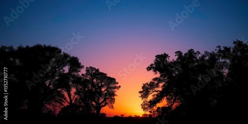 Silhouetted trees against a twilight sky, soft light on the horizon, magical, dreamy