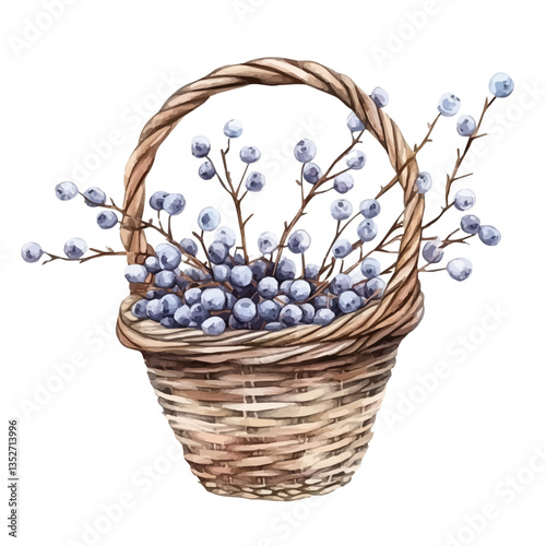 A watercolor vector painting of a blackthorn basket, isolated on a white background. Blackthorn basket vector.

