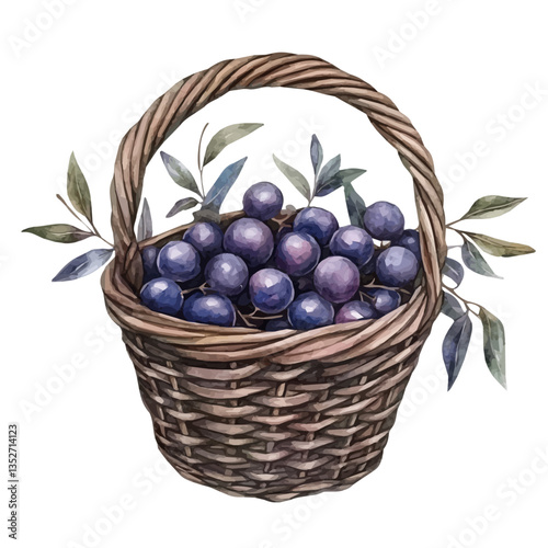 A watercolor vector painting of a blackthorn basket, isolated on a white background. Blackthorn basket vector.

