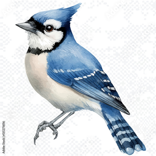 A watercolor vector painting of a blue jay, isolated on a white background. Blue jay vector.

