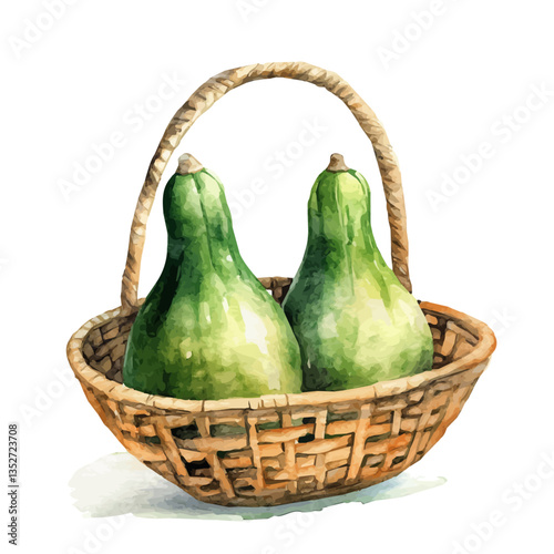 A watercolor vector painting of a bottle gourd basket, isolated on a white background. Bottle gourd basket vector.

