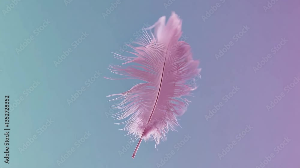 Delicate pink feather against blue gradient background. Serenity and lightness concept
