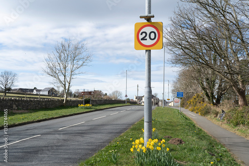Sign for 20 miles per hour speed limit with daffodils on a grass verge next to a road.
