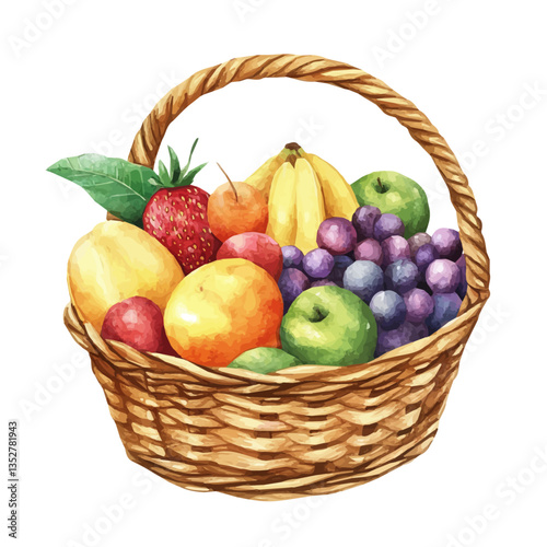 A watercolor vector painting of a fruit basket, isolated on a white background. Che fruit basket vector.


