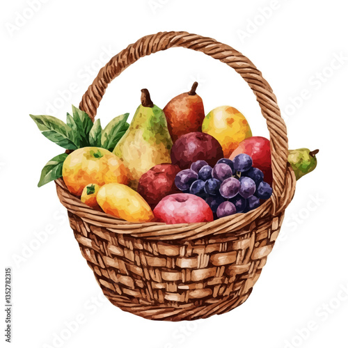 A watercolor vector painting of a fruit basket, isolated on a white background. Che fruit basket vector.

