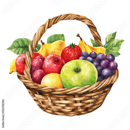 A watercolor vector painting of a fruit basket, isolated on a white background. Che fruit basket vector.

