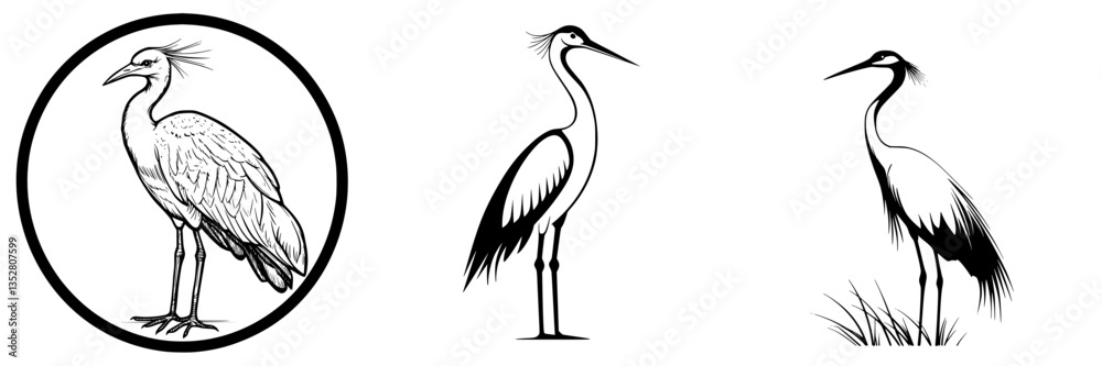 Fototapeta premium Elegant line drawings of herons in various poses captured in black and white style
