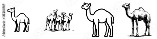Varieties of camels depicted in simple illustrations against a plain background highlighting their unique features and forms