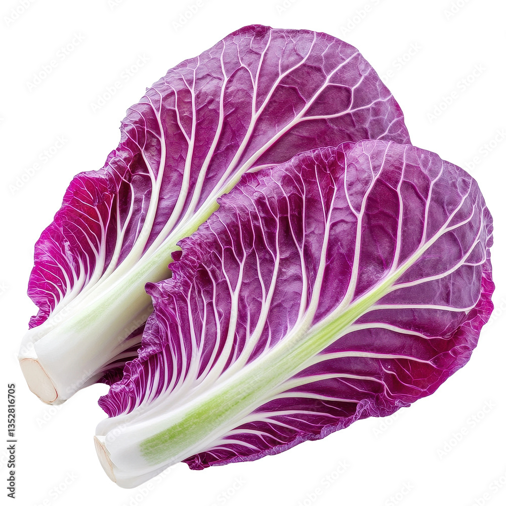 Obraz premium Fresh purple Chinese cabbage on a Transparent background showcasing vibrant colors and crisp texture, purple chinese cabbage on PNG background