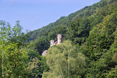 Wallpaper Mural old, partly dilapidated castle ruins of Neckarsteinach on the Neckar near Heidelberg Torontodigital.ca