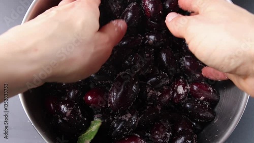 Large, carefully selected Italian black olives, freshly harvested and prepared for drying. The olives are mixed with salt and bay leaves by hand, emphasizing their natural and organic qualities. photo