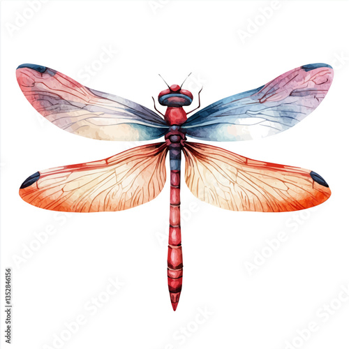 A watercolor vector painting of a dragonfly, isolated on a white background. Dragonfly vector.

