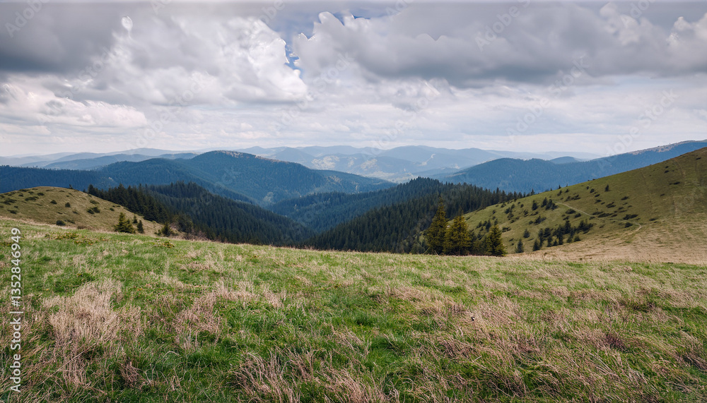 Fototapeta premium wonderful springtime landscape in mountains. grassy field and rolling hills