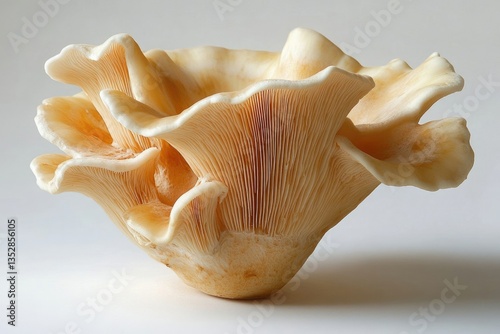 A pale, delicate mushroom with a unique, ruffled, and layered cap structure. photo