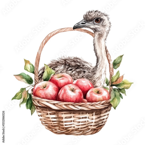 A watercolor vector painting of an emu apple basket, isolated on a white background. Emu apple basket vector.

