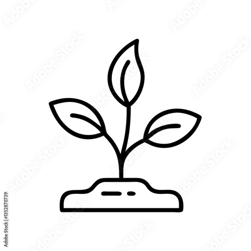 Sprouting plant with leaves on soil