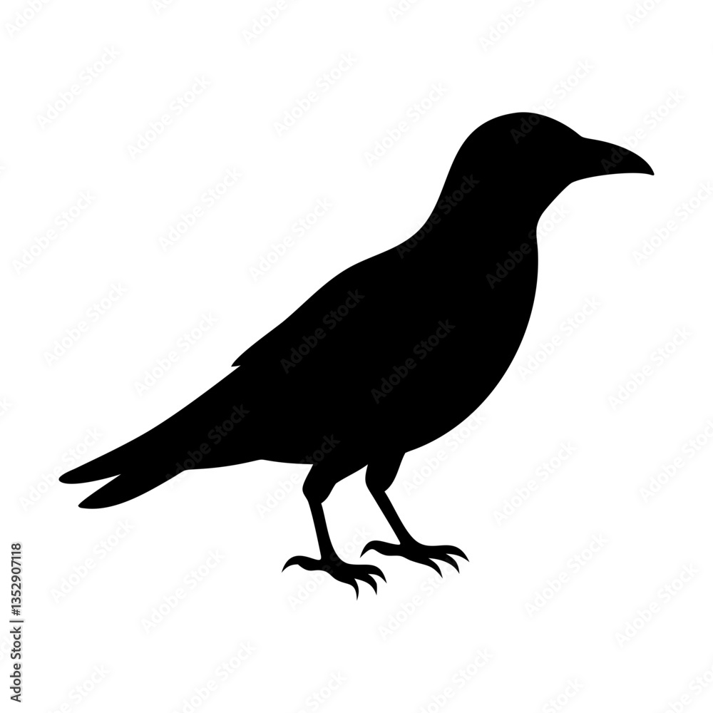Fototapeta premium black crow silhouette vector for wildlife designs, nature themes, and creative art projects 