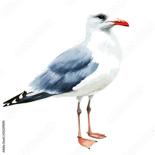 Gull, watercolor vector, isolated on a white background.