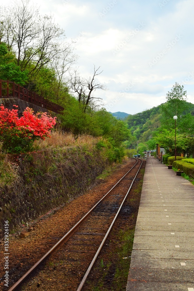 Obraz premium railway in the countryside