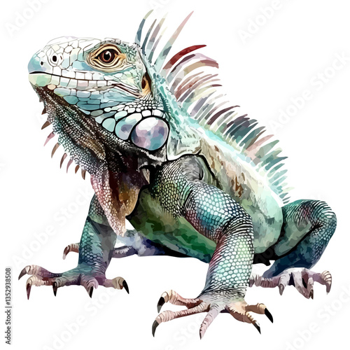 A watercolor vector painting of an iguana, isolated on a white background. Iguana vector.

