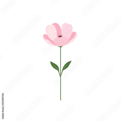 Isolated light pink flower on a long green stem. Delicate petals and a central green pistil create a simple yet elegant botanical composition.