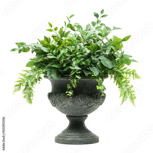 Elegant garden urn planter with lush greenery isolated against a white background for decorative purposes, Garden urn planter with with lush greenery isolated on white background