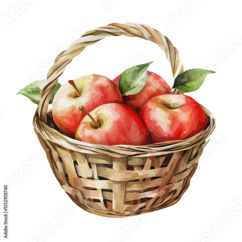 A watercolor vector painting of a kei apple basket, isolated on a white background. Kei apple basket vector.

