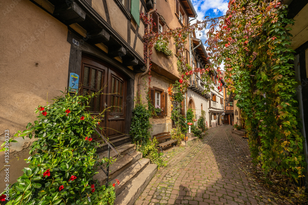 Fototapeta premium Eguisheim is a medieval village in France’s Alsace wine region, France