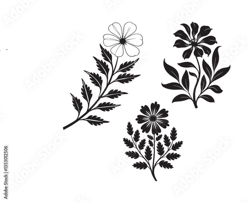 Flower with leaves shaped ornament silhouette Vector with white baground